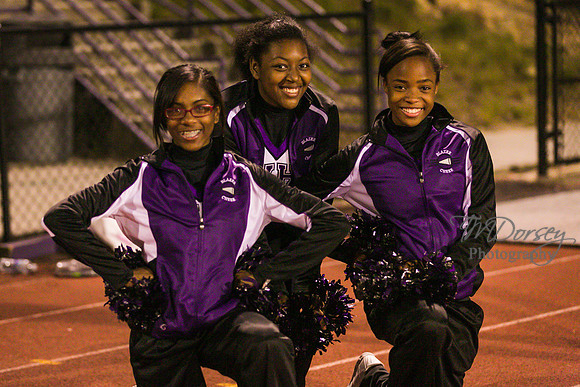 TMD_RVHS_wk8-3841