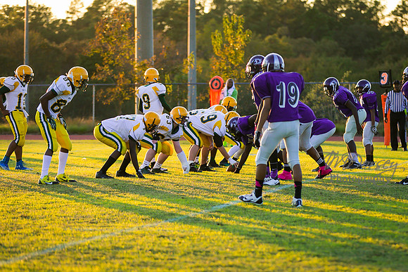 TMD_RVHS_wk8-3119