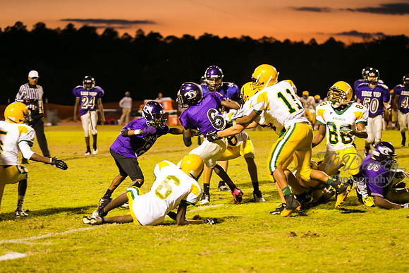 TMD_RVHS_wk8-3378