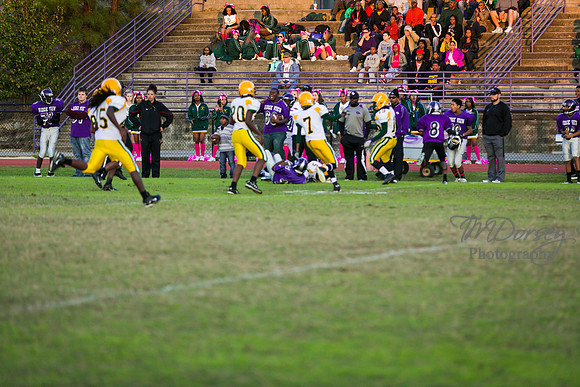 TMD_RVHS_wk8-3166