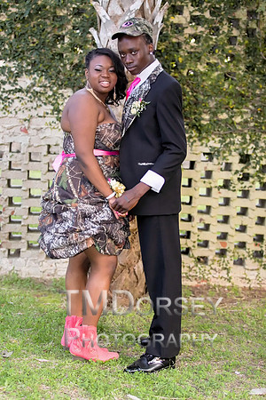 AHS_Prom_2014-1919_pc