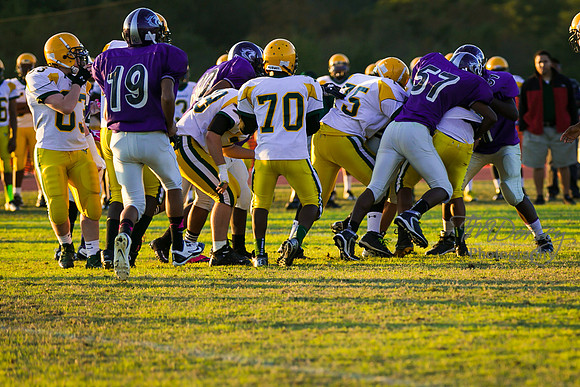 TMD_RVHS_wk8-3085