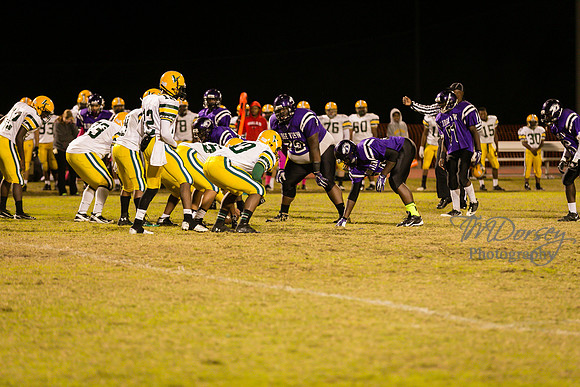 TMD_RVHS_wk8-3737
