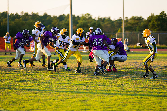 TMD_RVHS_wk8-3094