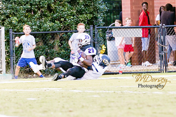 RVHS_2016-0111