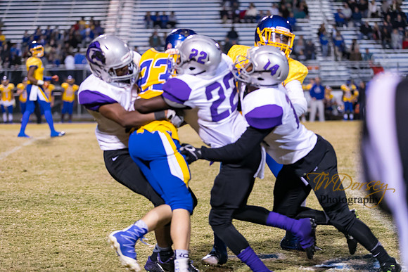 RVHS_2016-3235