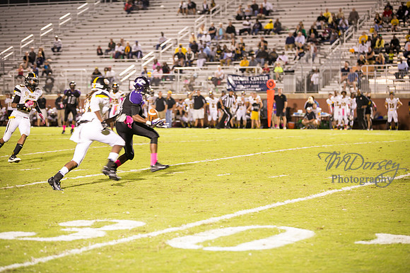 TMD_RVHS_wk6-0762
