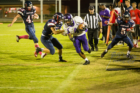 TMD_RVHS_wk7-1775