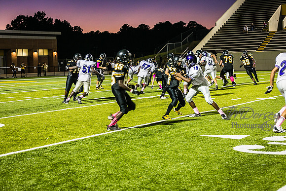 TMD_RVHS_wk6-9409