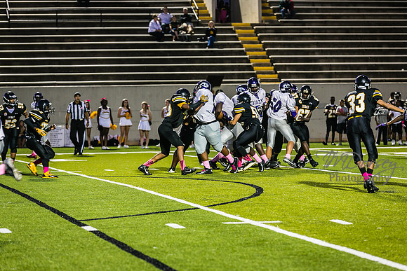 TMD_RVHS_wk6-9247