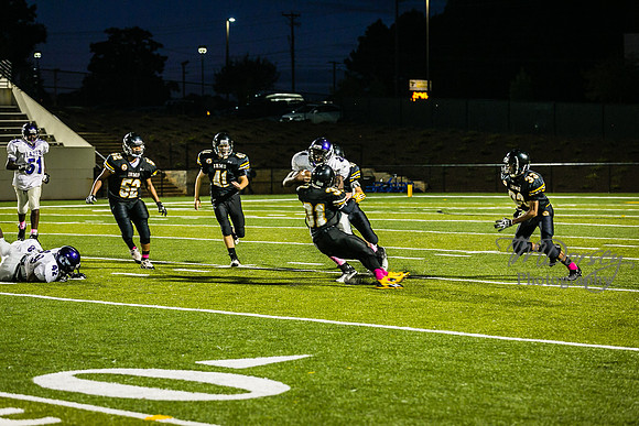 TMD_RVHS_wk6-9349
