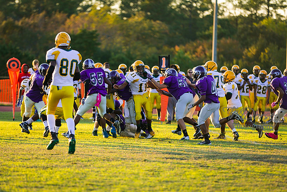 TMD_RVHS_wk8-3080