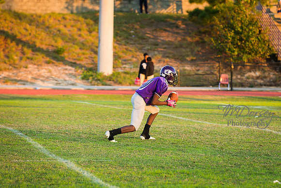 TMD_RVHS_wk8-3146