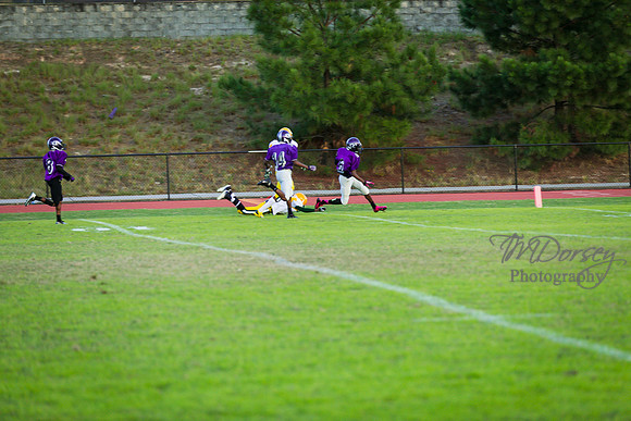 TMD_RVHS_wk8-3194