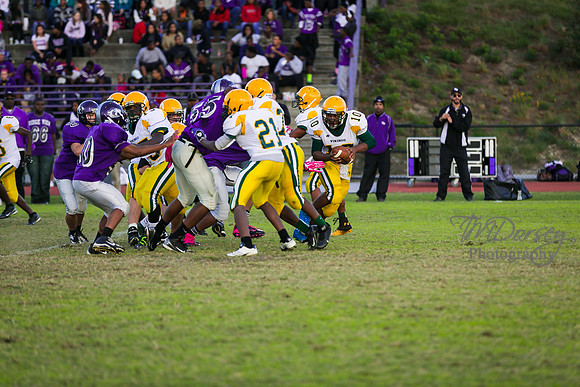 TMD_RVHS_wk8-3232