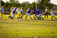 TMD_RVHS_wk8-3058