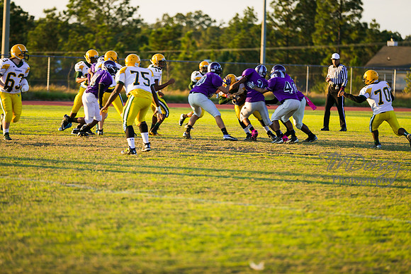 TMD_RVHS_wk8-3058