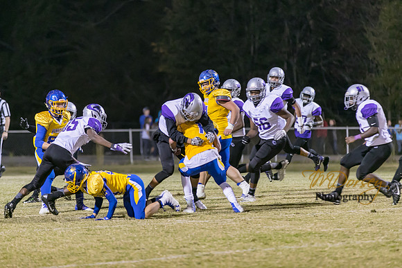 RVHS_2016-3481