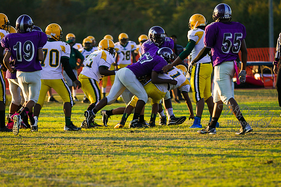 TMD_RVHS_wk8-3086