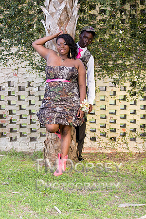AHS_Prom_2014-1901_pc