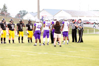 RVHS_2016-3817