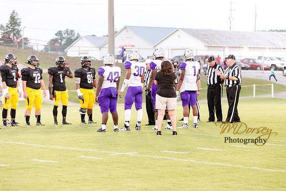 RVHS_2016-3817