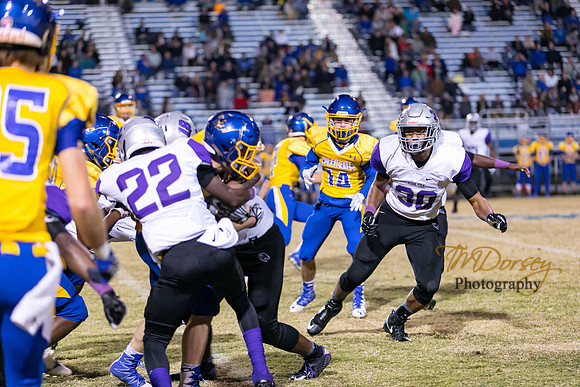 RVHS_2016-3233