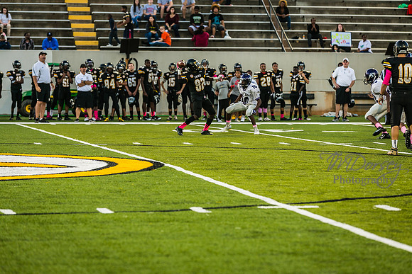 TMD_RVHS_wk6-9166