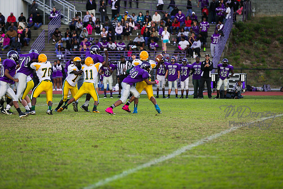 TMD_RVHS_wk8-3241