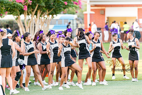 RVHS_2016-9919