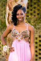 AHS_Prom_2014-1813_pc