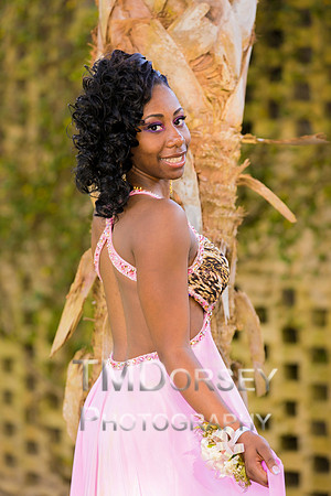 AHS_Prom_2014-1819_pc