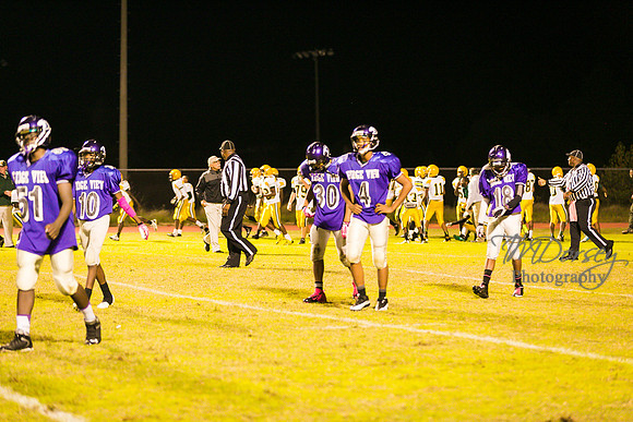 TMD_RVHS_wk8-3718