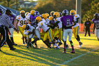 TMD_RVHS_wk8-3044