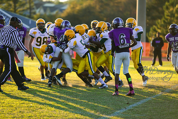 TMD_RVHS_wk8-3044