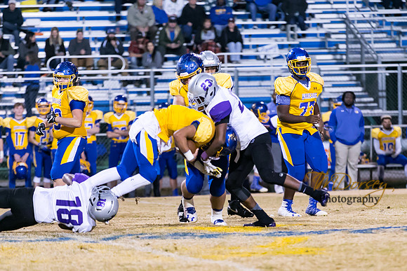 RVHS_2016-3259