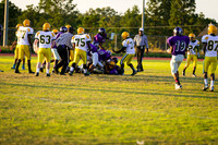 TMD_RVHS_wk8-3062