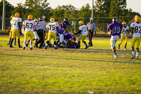 TMD_RVHS_wk8-3062