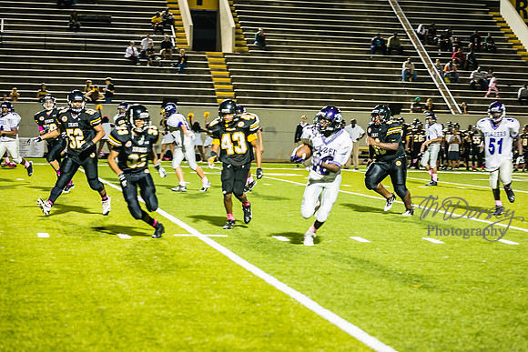 TMD_RVHS_wk6-9382