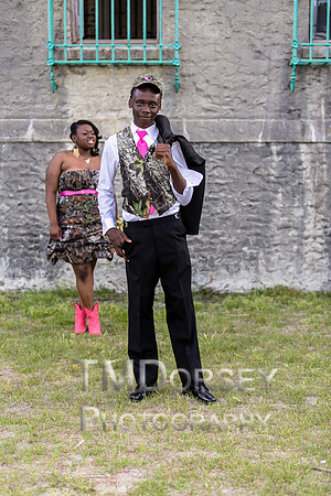 AHS_Prom_2014-1883_pc