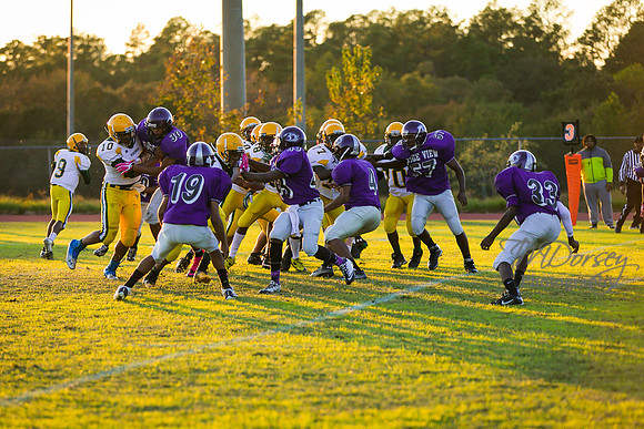 TMD_RVHS_wk8-3121