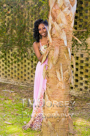 AHS_Prom_2014-1820_pc