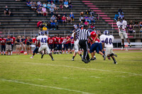 TMD_RVHS_wk7-1099