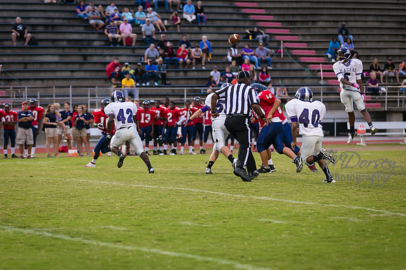 TMD_RVHS_wk7-1099