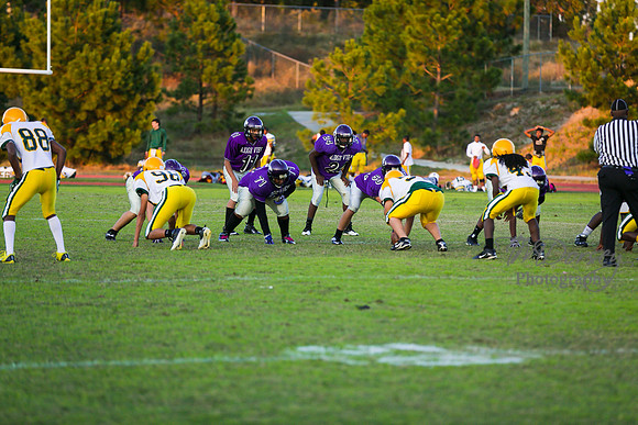 TMD_RVHS_wk8-3157