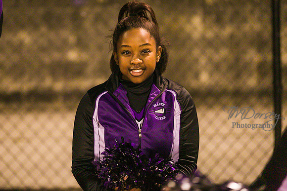 TMD_RVHS_wk8-3839