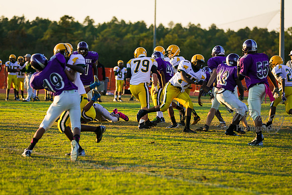 TMD_RVHS_wk8-3090