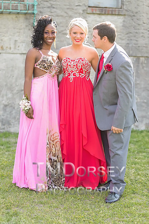 AHS_Prom_2014-1659_pc