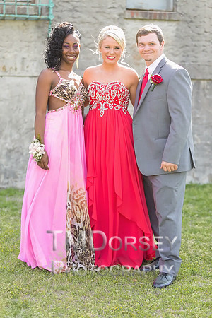 AHS_Prom_2014-1660_pc