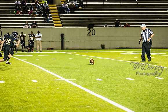TMD_RVHS_wk6-9452